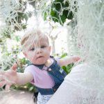 lamberton conservatory baby photography rochester ny